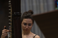 LPH_3526