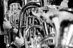 MicroHarmonie_LaureNPasche-5667